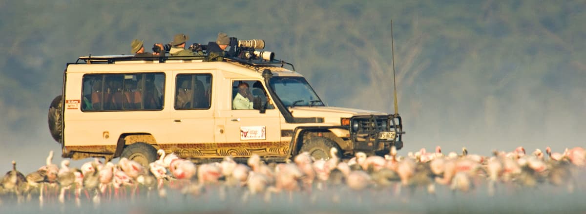 Group safari expedition with photographers and flamingos