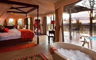 Luxury Safari Experience