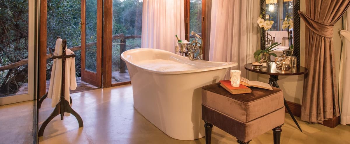 Complete African safari package experience