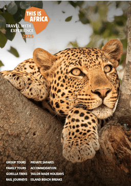 This is Africa 2025 Brochure Cover